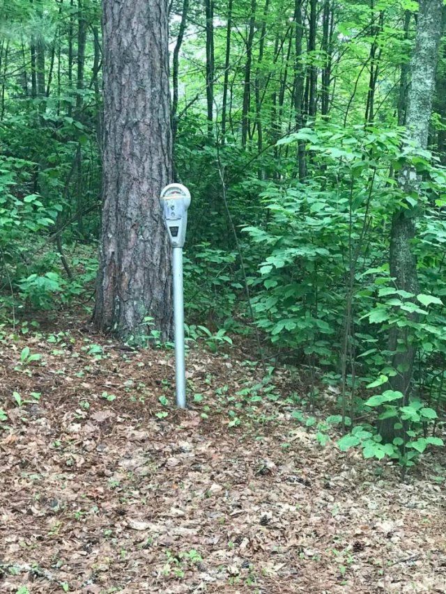 What Is Going On Here? (51 pics)