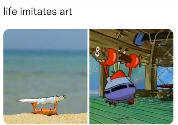 Daily Pictures. Part 2 (66 pics)