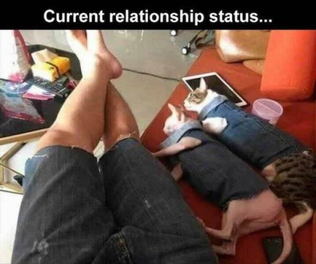 Memes For Singles (27 pics)