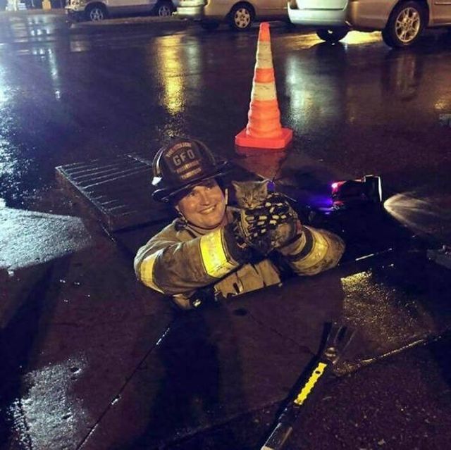 People Share Their Interesting Work Photos (48 pics)