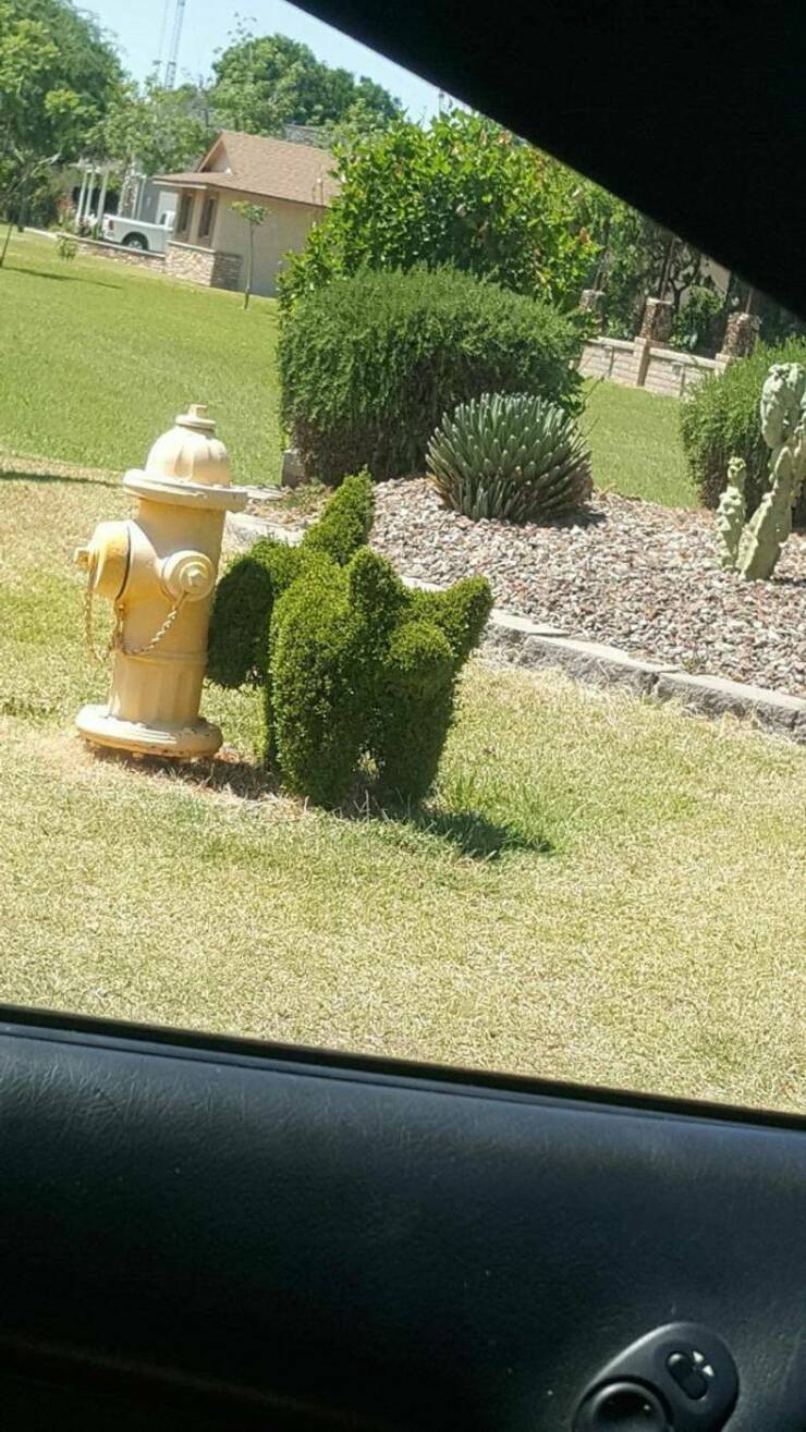 Daily Pictures. Part 2 (73 pics)