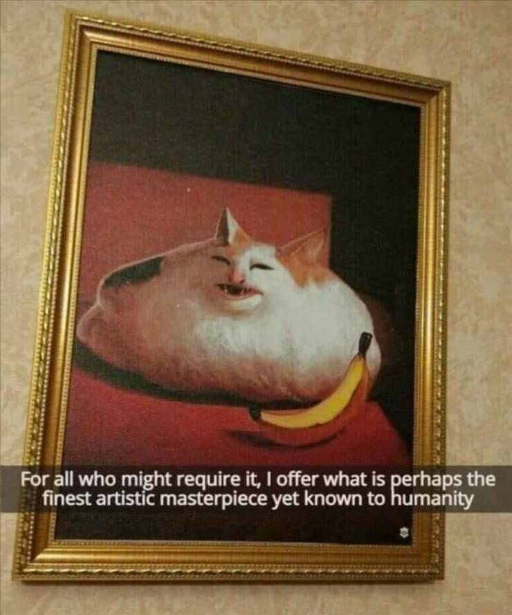Daily Pictures. Part 2 (73 pics)