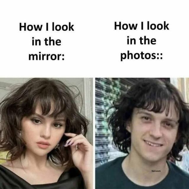 Sarcastic Memes (50 pics)