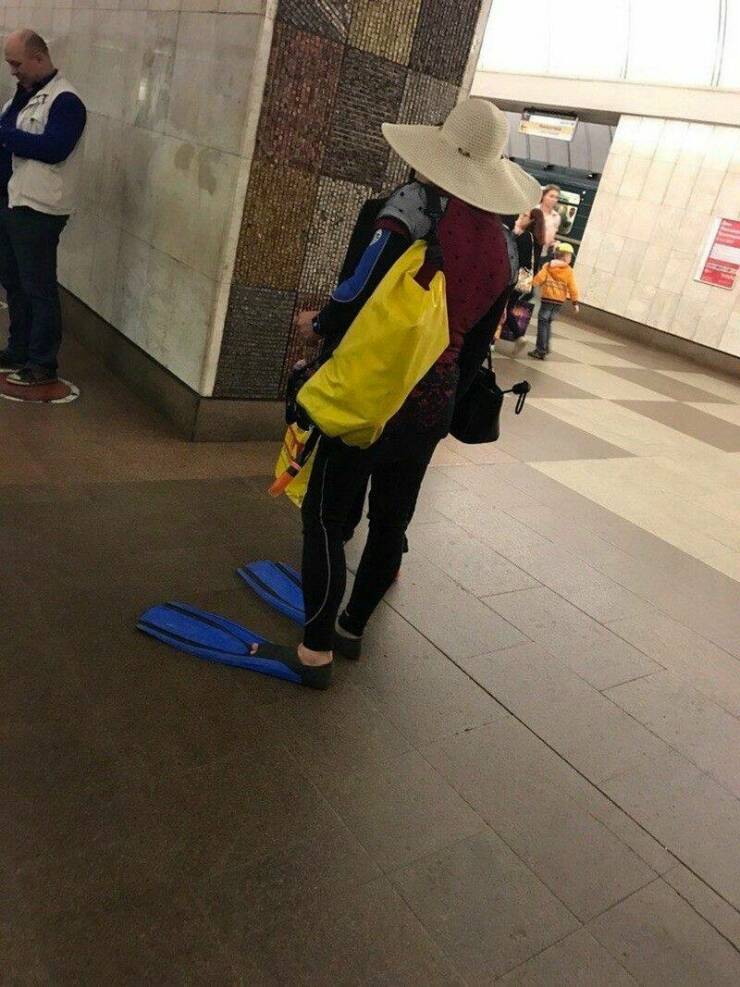 Daily Pictures. Part 1 (70 pics)