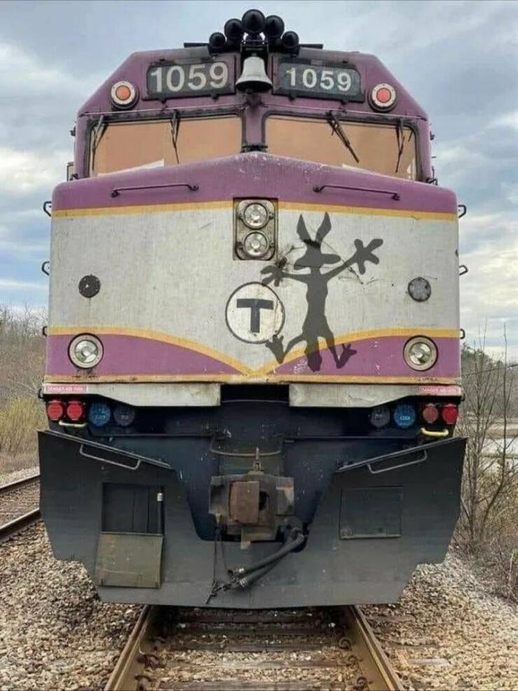 Daily Pictures. Part 1 (70 pics)