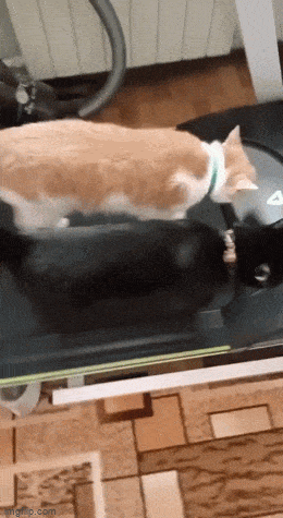 Acid GIFs, April 20 (25 gifs)