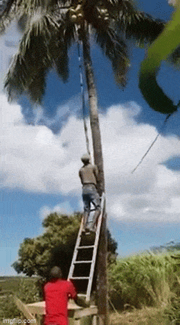 Acid GIFs, April 20 (25 gifs)