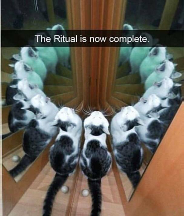 Daily Pictures. Part 2 (74 pics)