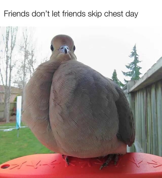Daily Pictures. Part 2 (74 pics)