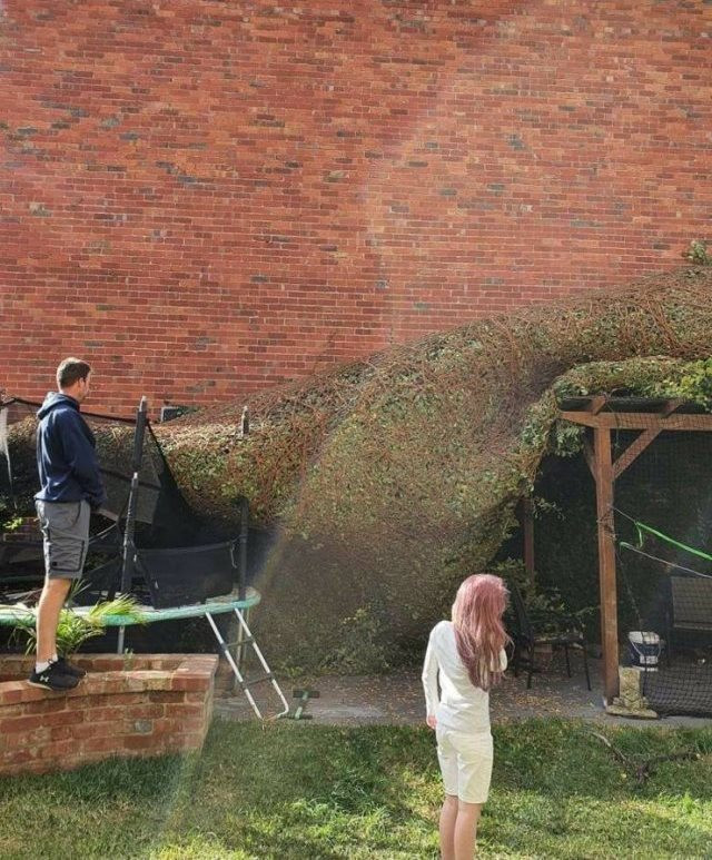 Bad Days Happen (19 pics)