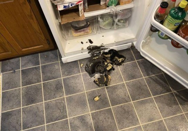 Bad Days Happen (19 pics)