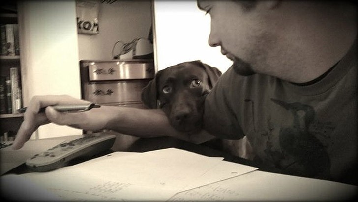 Funny And Cute Pets (19 pics)