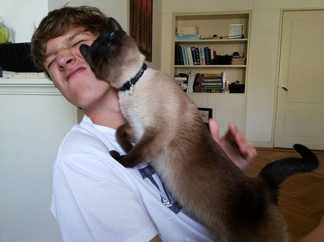 Funny And Cute Pets (19 pics)