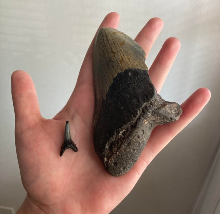 Giant Things (19 pics)