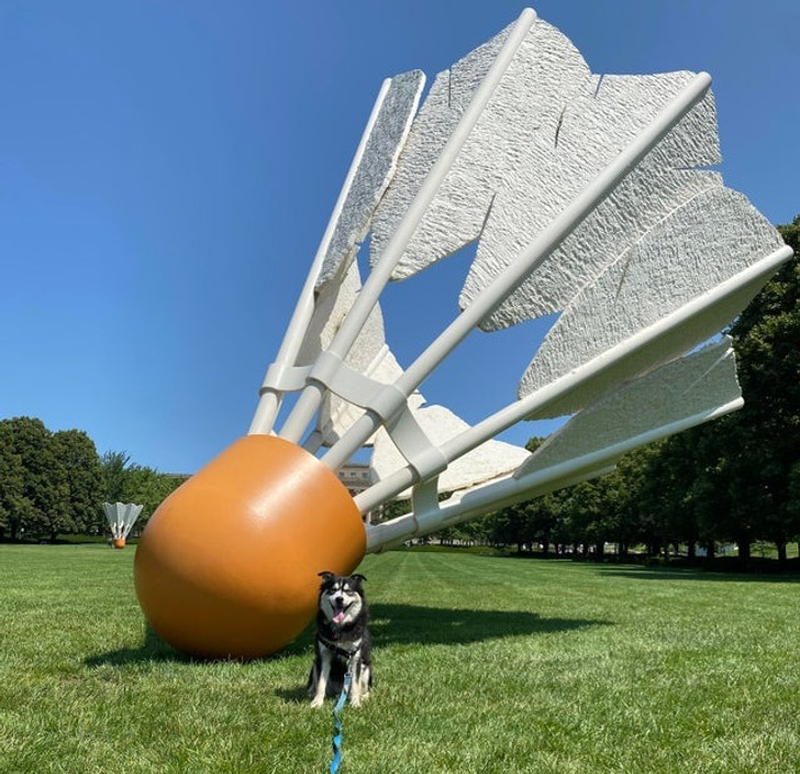 Giant Things (19 pics)