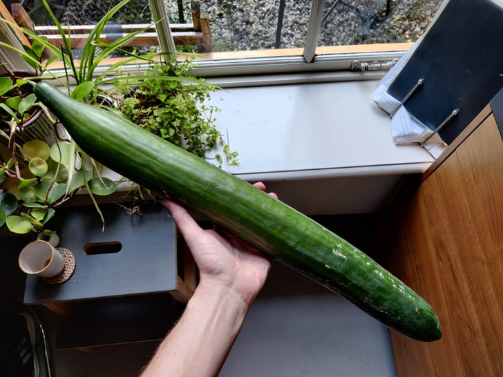 Giant Things (19 pics)