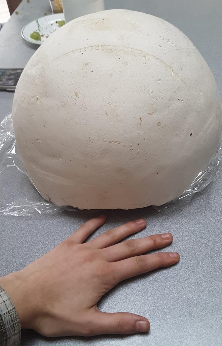 Giant Things (19 pics)