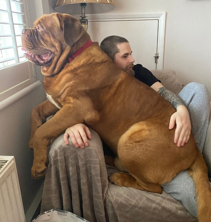 Giant Things (19 pics)