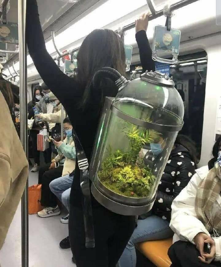Daily Pictures. Part 1 (70 pics)