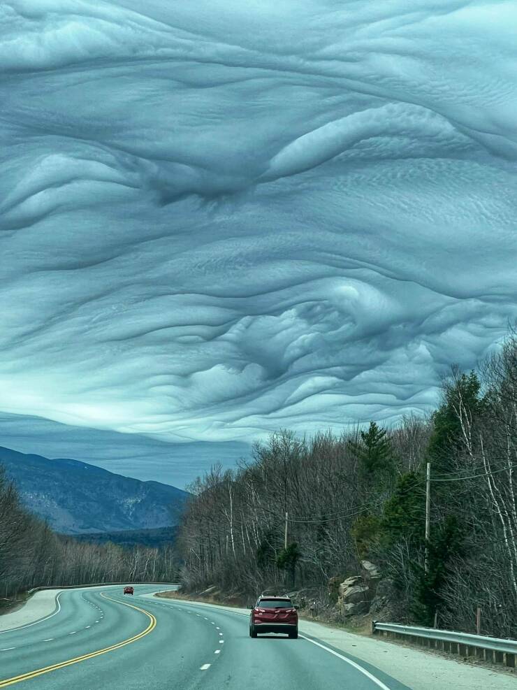 Daily Pictures. Part 1 (70 pics)