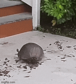 Acid GIFs, April 27 (25 gifs)