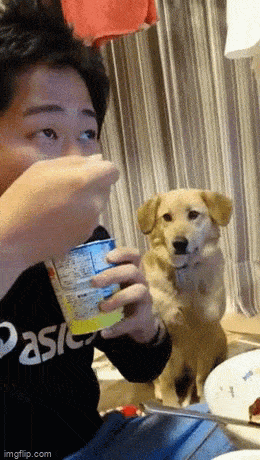 Acid GIFs, April 27 (25 gifs)