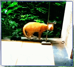 Acid GIFs, April 27 (25 gifs)