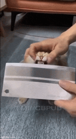 Acid GIFs, April 27 (25 gifs)