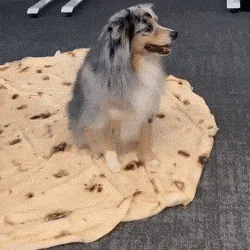Acid GIFs, April 27 (25 gifs)