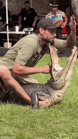 Acid GIFs, April 27 (25 gifs)