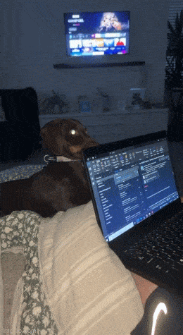 Acid GIFs, April 27 (25 gifs)