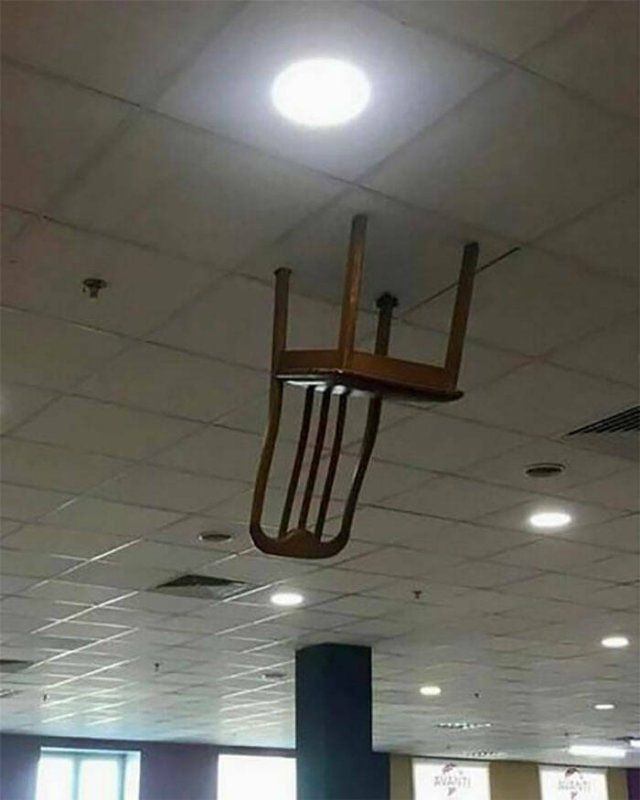Weird Finds And Situations (49 pics)