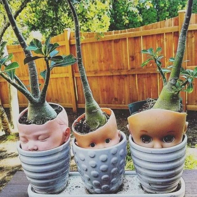Terrible DIY Crafts (24 pics)