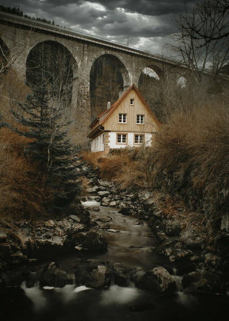 Daily Pictures. Part 1 (74 pics)