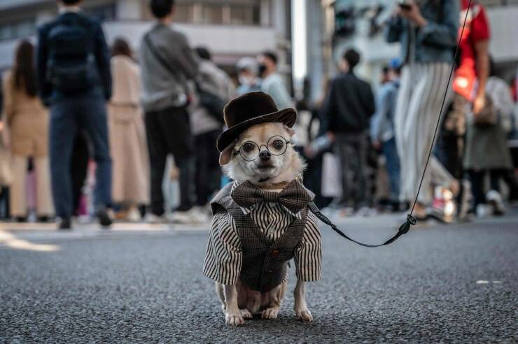 Daily Pictures. Part 1 (74 pics)