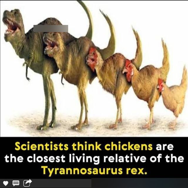Interesting Facts (44 pics)