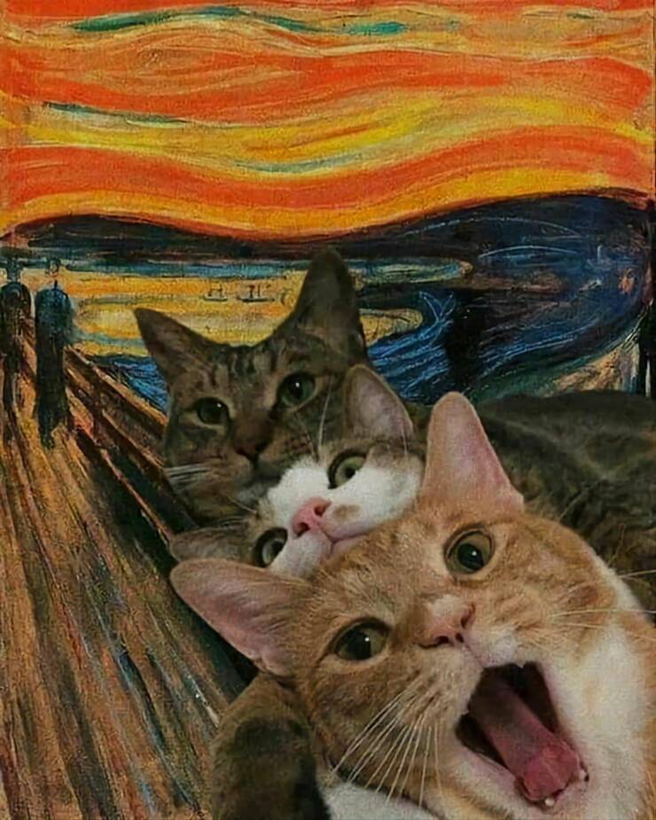 Daily Pictures. Part 1 (73 pics)