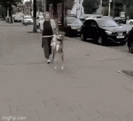 Acid GIFs, May 4 (25 gifs)