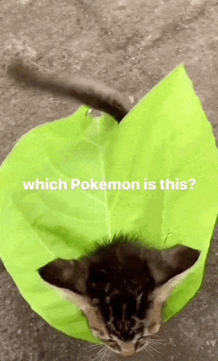 Acid GIFs, May 4 (25 gifs)