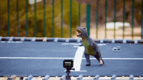 Acid GIFs, May 4 (25 gifs)