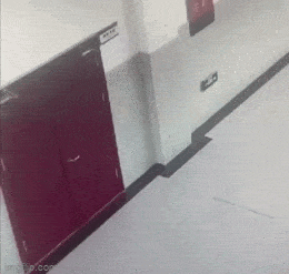 Acid GIFs, May 4 (25 gifs)