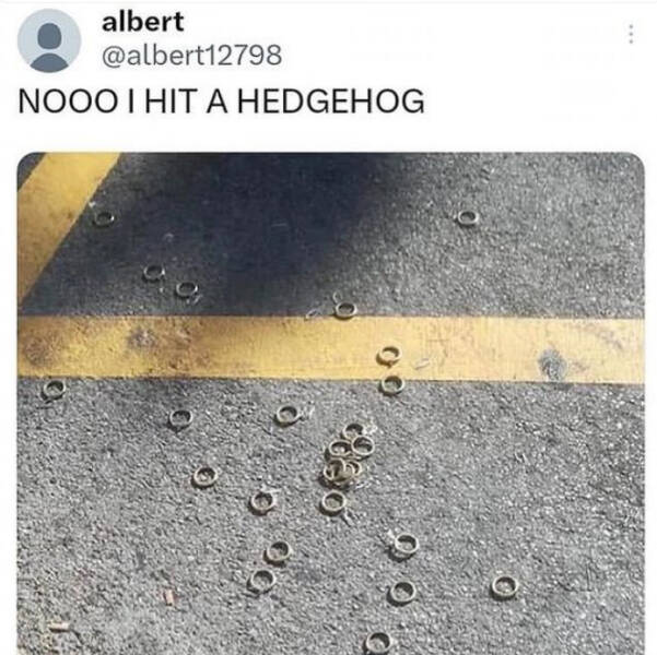 Daily Pictures. Part 2 (70 pics)