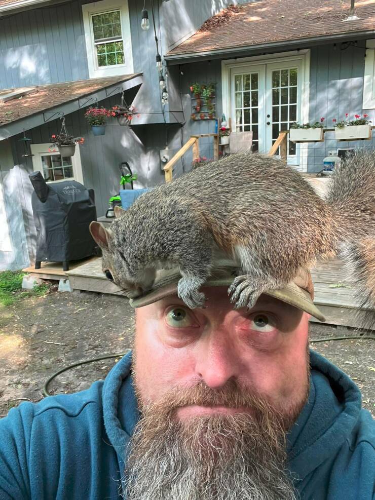 Daily Pictures. Part 2 (70 pics)