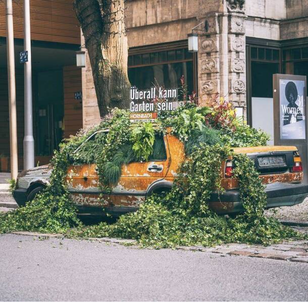 Daily Pictures. Part 1 (67 pics)