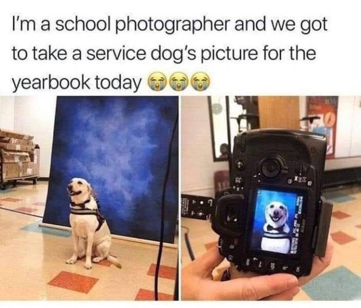 Daily Pictures. Part 1 (67 pics)