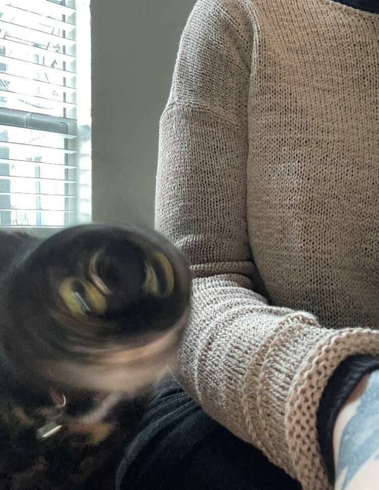 Daily Pictures. Part 2 (67 pics)