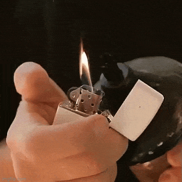 Acid GIFs, May 9 (25 gifs)