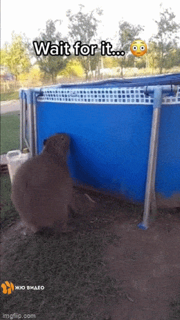 Acid GIFs, May 9 (25 gifs)
