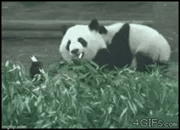 Acid GIFs, May 9 (25 gifs)