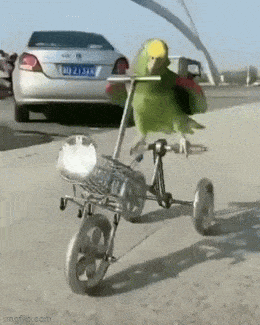 Acid GIFs, May 9 (25 gifs)